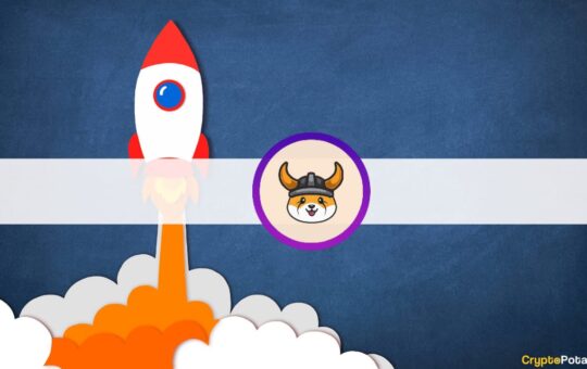New Dogecoin Copycats Skyrocketed as a Result