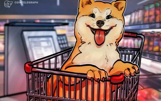 Shiba Inu is now a top-20 cryptocurrency with SHIB price soaring 300% in 9 days