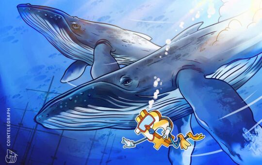 3rd biggest whale address adds 207 BTC at $62K