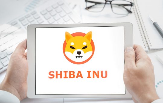 Is Shiba Inu (SHIB) about to experience another Bull Run?