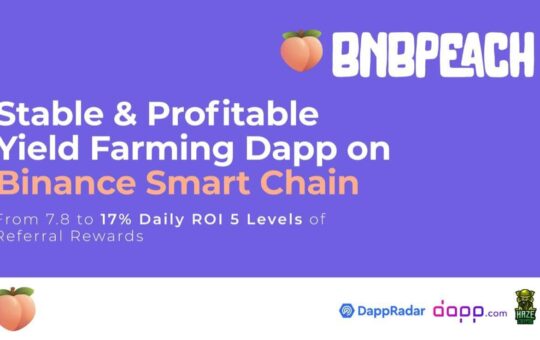 Stake BNB for Daily ROI