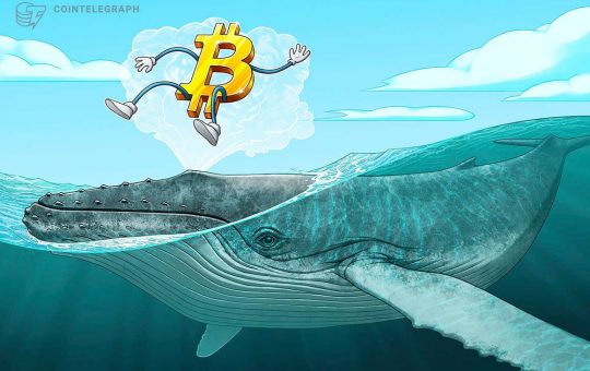 Third-biggest Bitcoin whale's holdings total $6B after 'whopping' 2.7K BTC buy-in