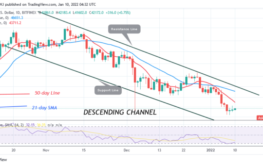 Bitcoin (BTC) Price Prediction: BTC/USD Trades Marginally as Bitcoin Consolidates Above $40k