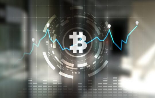 Public companies seek exposure to crypto as BTC holdings surge in 2021
