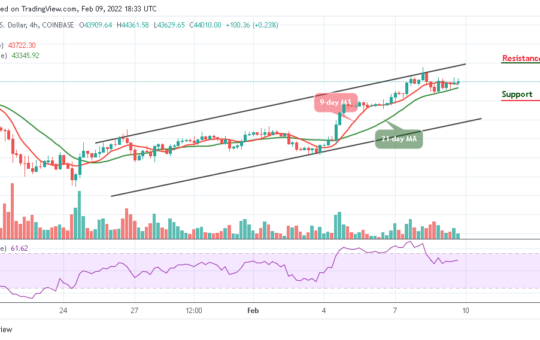 Bitcoin Price Prediction