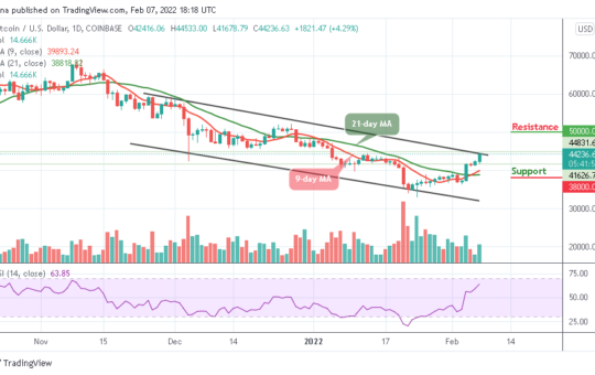 Bitcoin Price Prediction