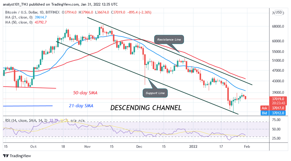 Bitcoin (BTC) Price Prediction: BTC/USD Pushes on the Upside; Can Bulls Overcome $39K Resistance?