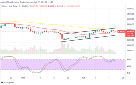 Bitcoin (BTC/USD) Market Moves in Ranges of $45,000 and $40,000