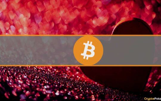 Cryptocurrency Investors Are More Attractive on The Dating Scene (Study)