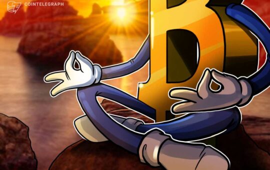 ‘Peak fear,’ but on-chain metrics say it’s not a bear market