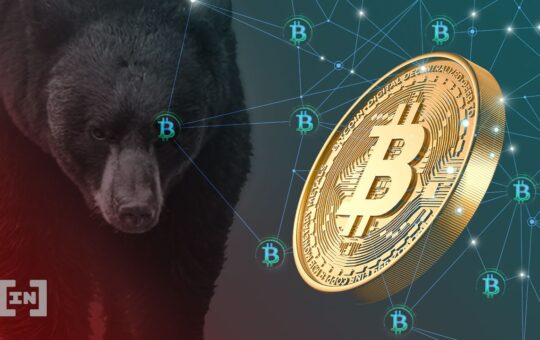 5 Indicators of the Strong Fundamentals of the Bitcoin Network: On-Chain Analysis