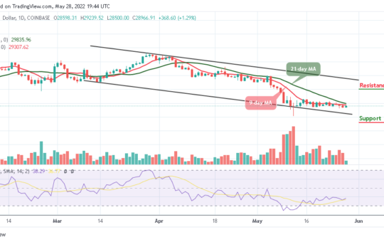 Bitcoin Price Prediction