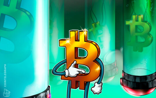 Who designed the Bitcoin logo?