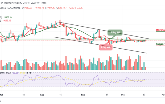 Bitcoin Price Prediction for Today, October 18: BTC/USD Retreats After Trading Above $19,700
