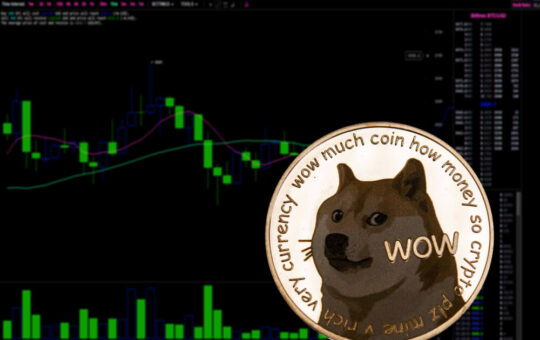 Dogecoin rallies