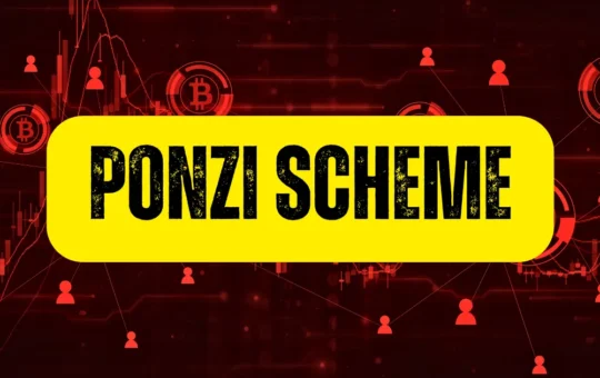 Bitcoin Might Be a Ponzi Scheme? Ex-Governor Blames Elon Musk & Trump for Big Lies