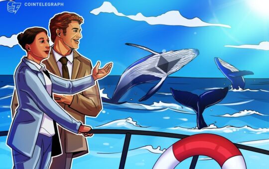 Ethereum whales, sharks keep buying up ETH as retail cashes out