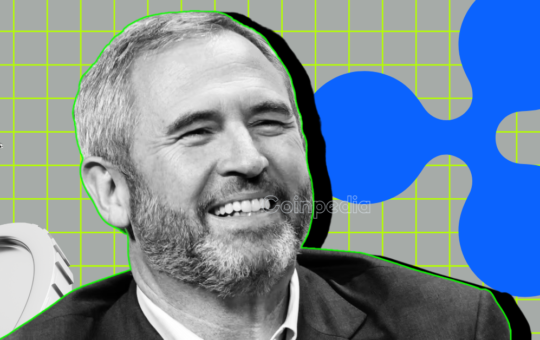 Ripple CEO Garlinghouse Admits DOGE Is ‘Here to Stay’ Despite Past Criticism